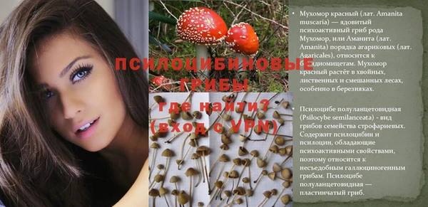 таблы Белокуриха