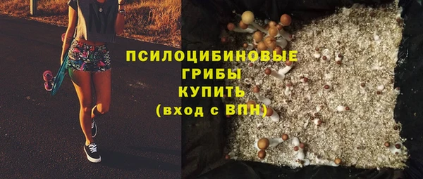таблы Белокуриха