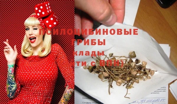 таблы Белокуриха