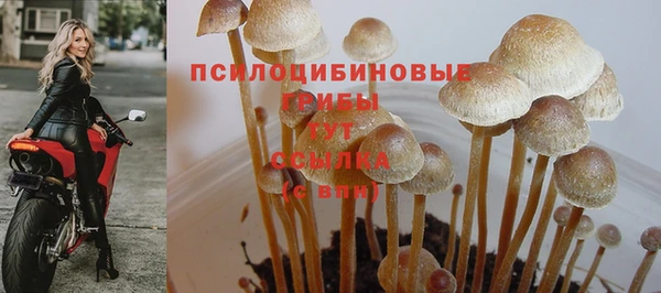mix Беломорск