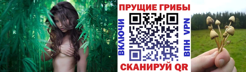 что такое наркотик Славянск-на-Кубани Галлюциногенные грибы мухоморы